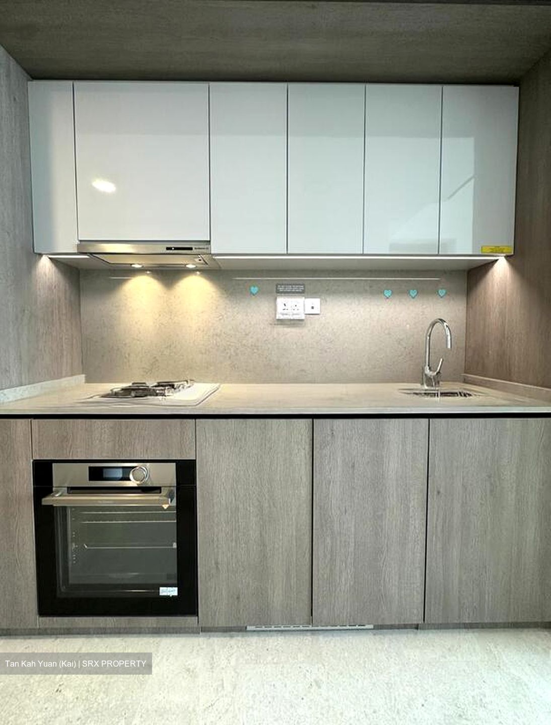 Avenue South Residence (D3), Apartment #498785331